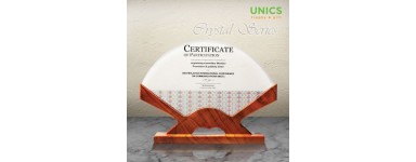 Signature Crystal Award