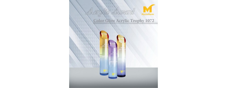 Acrylic Award