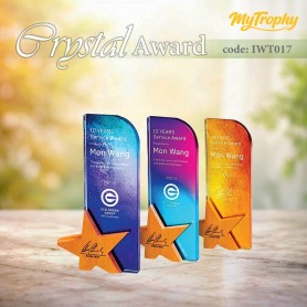 MyUniform Crystal Award