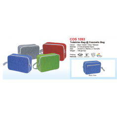 COS1093
