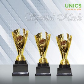 Special Mark Trophy