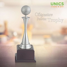 Pewter Trophy