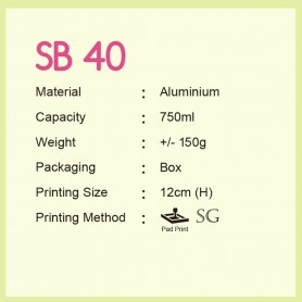 Vacuum Flask