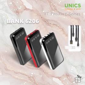 BANK6206