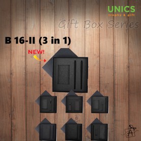 B16-11 (3 in 1)
