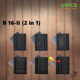 B16-II