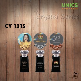 CY1315