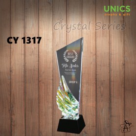 CY1317