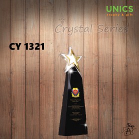 CY1321