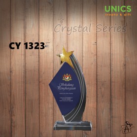 CY1323