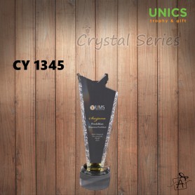CY1345