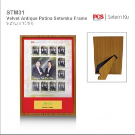 UNICS Wooden Plaque