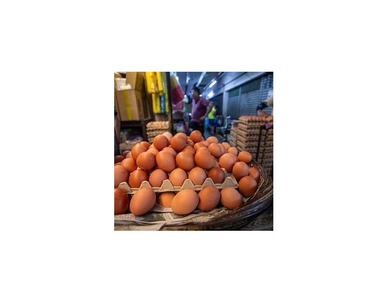 Government to End Egg Subsidy on August 1
